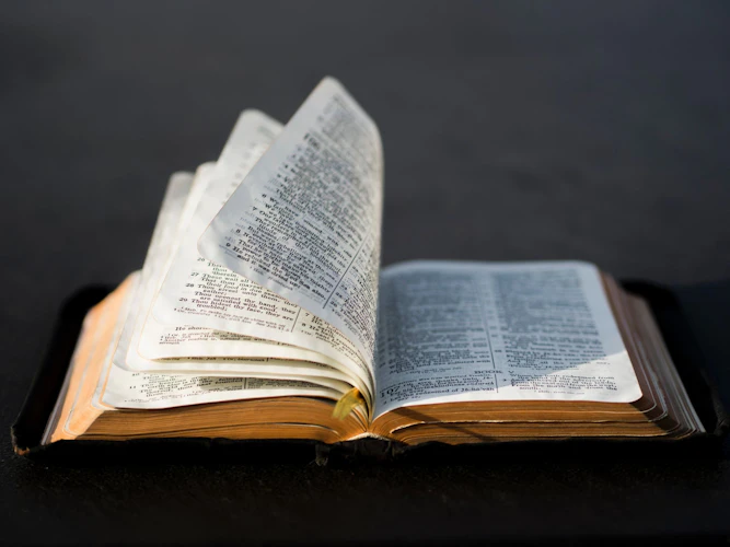 Best Bible Verses For Funerals And Ash scattering Ceremonies best-bible-verses-for-funerals-and-ash-scattering-ceremonies