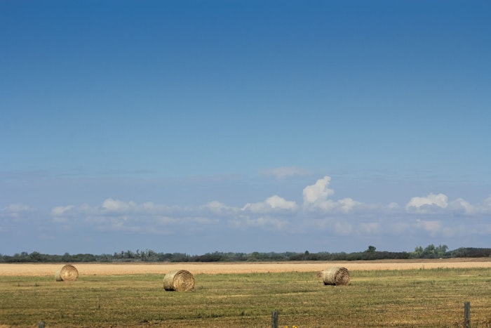 Eirene Expands Into Saskatchewan to Bring Compassionate and Affordable Cremation Services to the Prairies