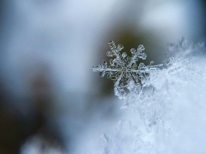 This guide explores how winter burial practices are managed in Nova Scotia, including cemetery preparations, temporary alternatives, and tips for families planning funerals during the colder months.