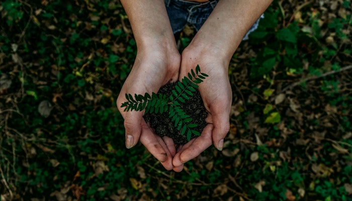 This guide explores the principles of green burials, options available in Nova Scotia, and steps to take if you’re considering this eco-friendly approach.