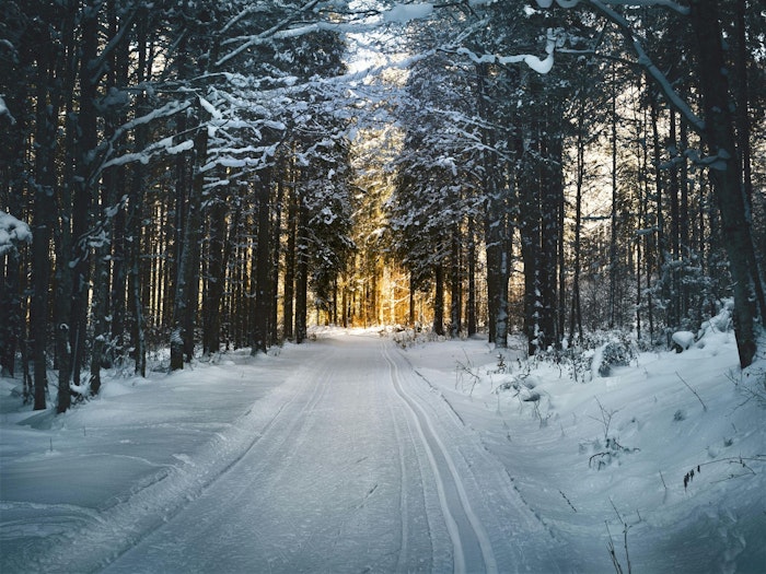 From snowstorms to freezing rain, winter weather impacts everything from travel to cemetery access. Here’s a comprehensive guide to help you navigate winter funerals in Nova Scotia with grace and foresight.